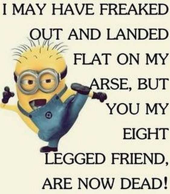Minion 8 Legged