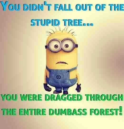 Minion Forest