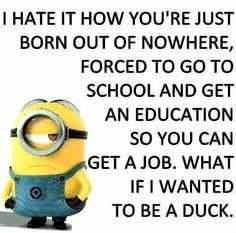 Minon Duck