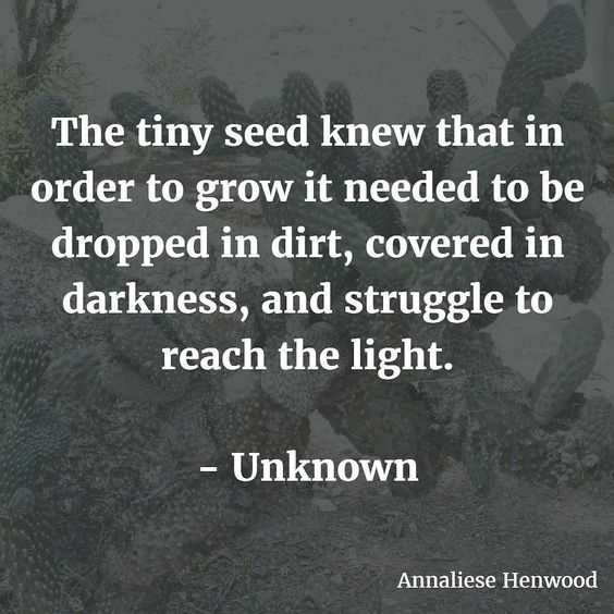 Quote Seemingly Obstacle