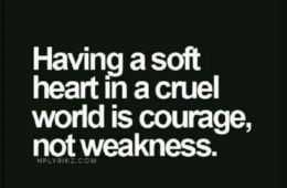 Quote Soft Heart