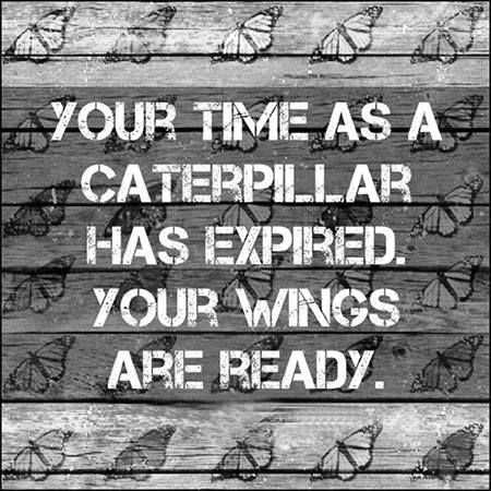 Quote Your Time Butterfly