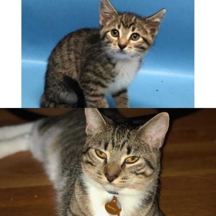 Reddit 6Month