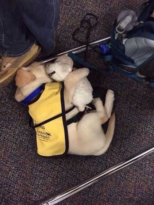 1 Not Ready For Work