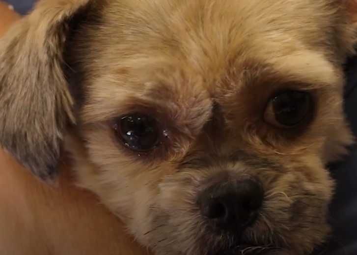 10 Didnt Know What Being Loved Feels Like