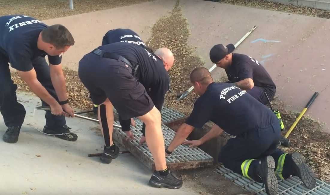 12 Brave Firefighter Jumpe Right In