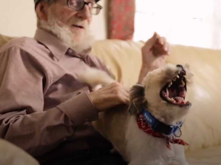 12 The Dog Loves Being The Cetner Of Attentio