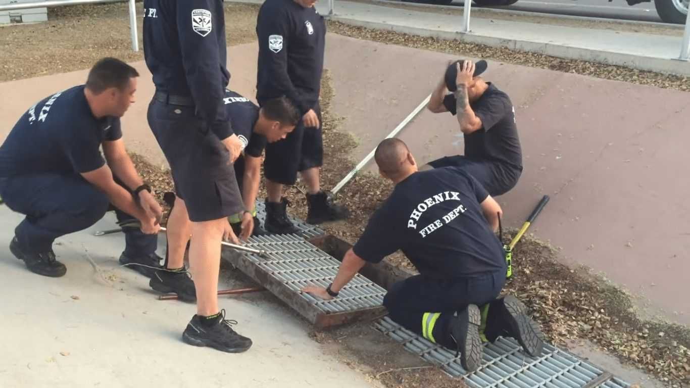14 Officers Took Ten Minuts To Open The Thing