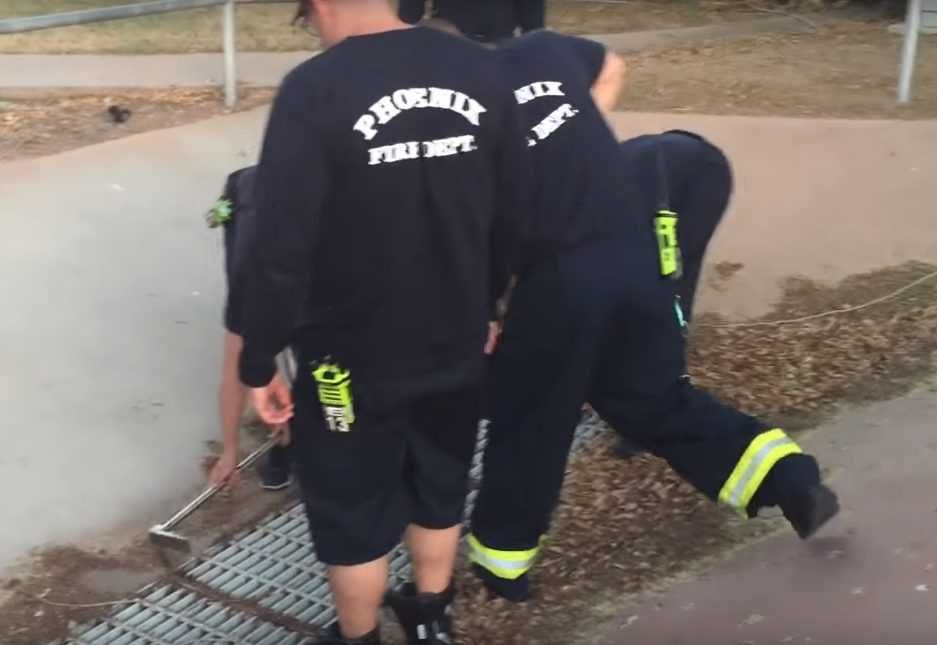 16 Rushed To Help