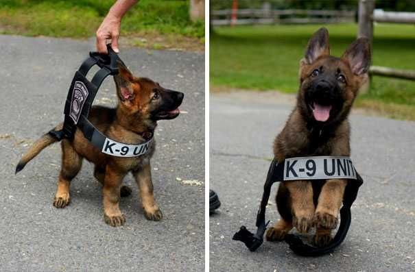 3 Excited For New Job