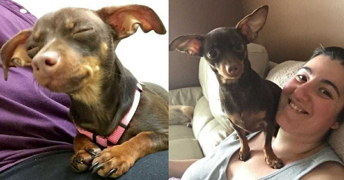 4 Incredible Story But Shani Started Feeling Sick