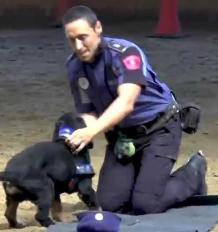 4 Officer Epts The Good Vboy