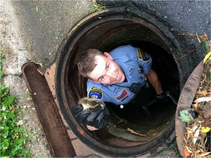 4 The Police Force Saves Animals