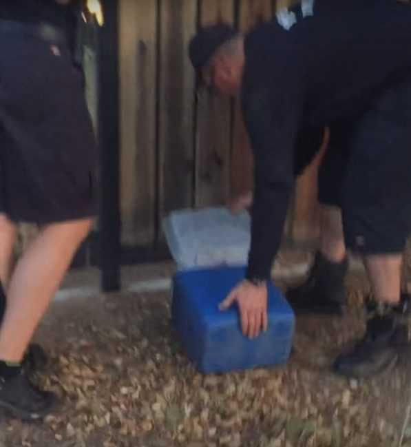 8 Released Them