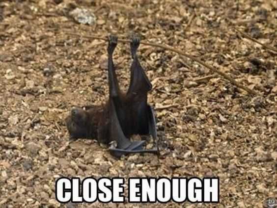 Animal Close Enough