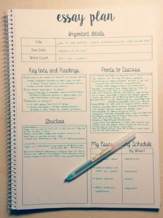 Diy Essay Plan