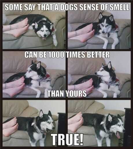 Funny 1000 Times