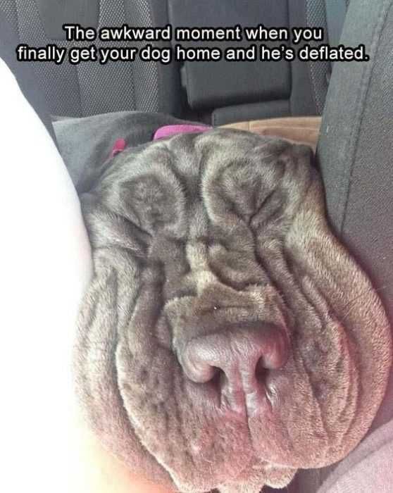 Funny Deflated