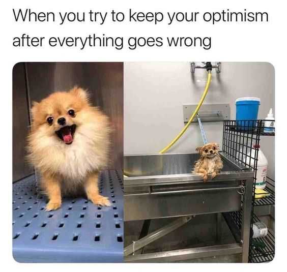 Funny Everything Goes Wrong