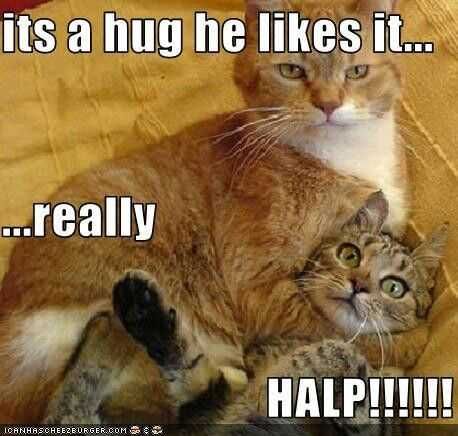 Funny He Likes It