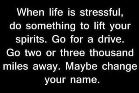 Funny Life Drive