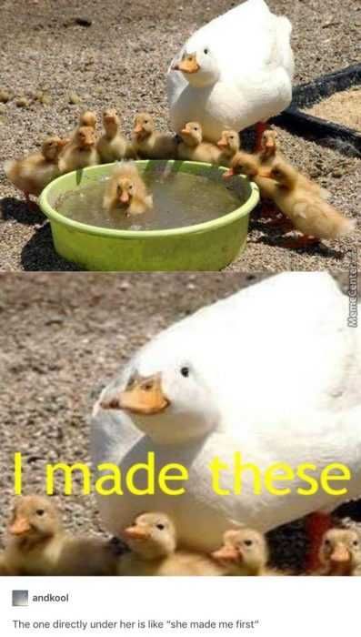 Funny Made These
