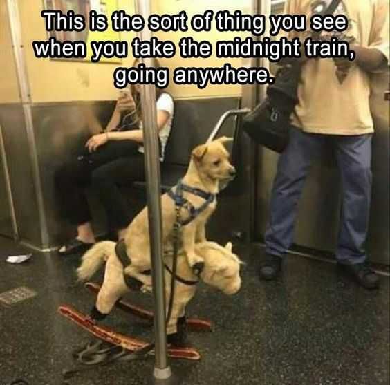 Funny Midnight Train