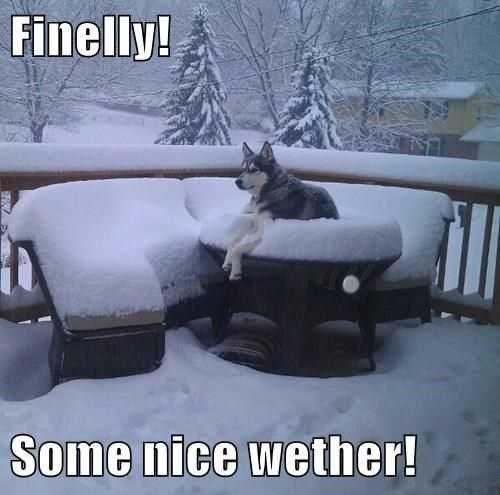 Funny Nice Weather