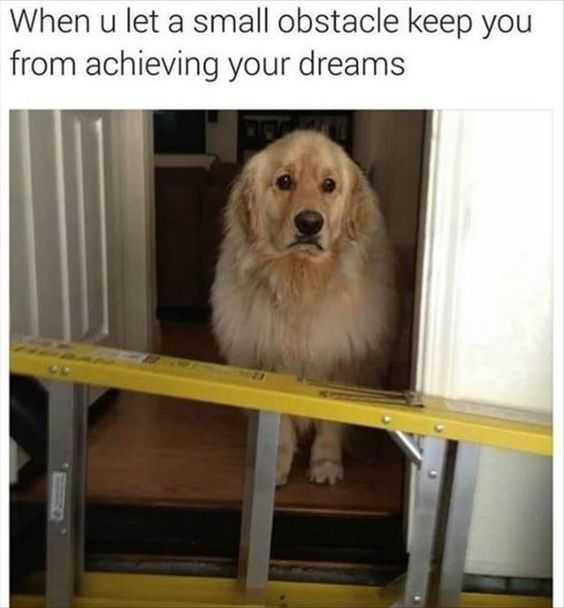Funny Obstacle