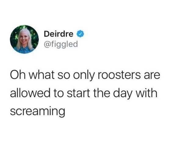 Funny Screaming