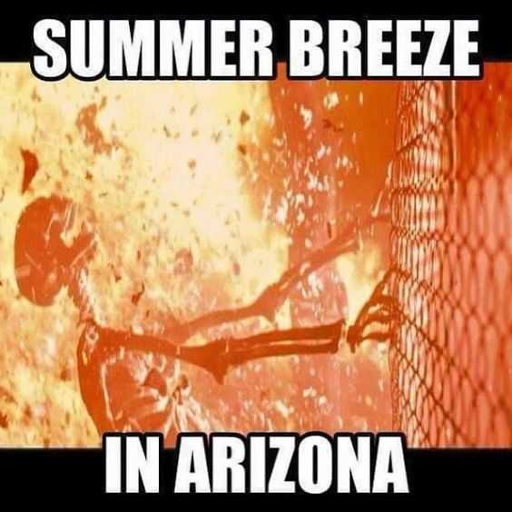Funny Summer Breeze