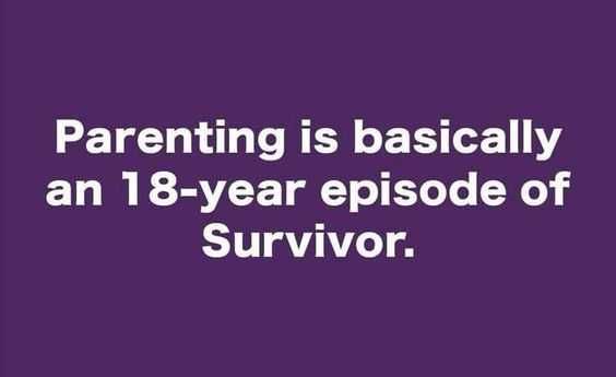 Funny Survivor 1