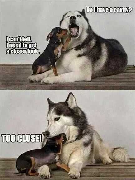 Funny Too Close