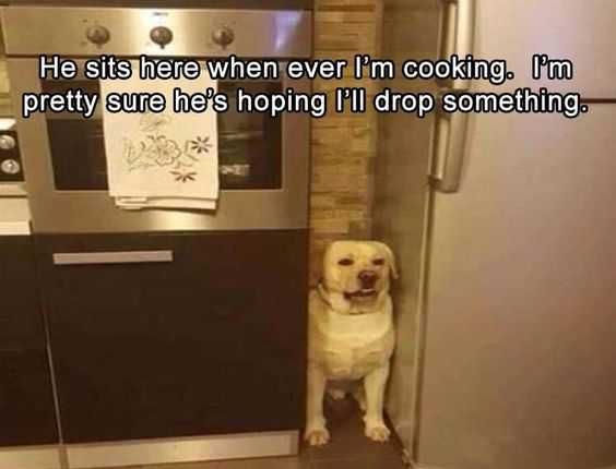 Funny Waiting