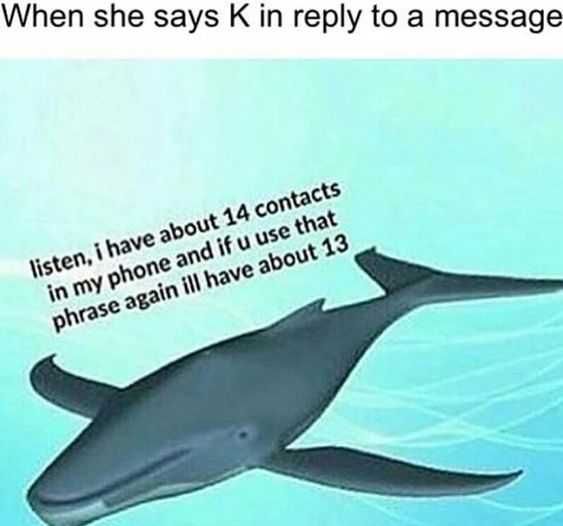 Meme 13 Contacts