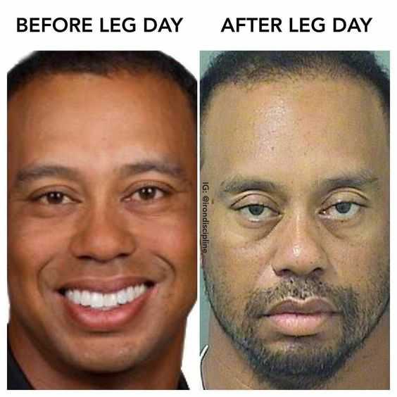 Meme Before Leg Day