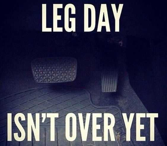 Meme Leg Day Car