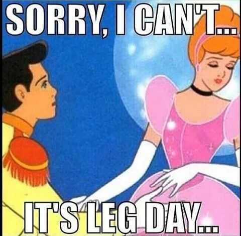 Meme Leg Day Cinderella
