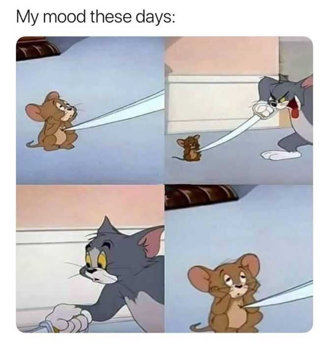 Meme My Mood