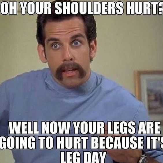 Meme Now Shoulders