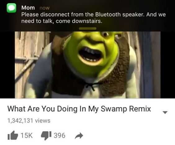 Meme What Shrek