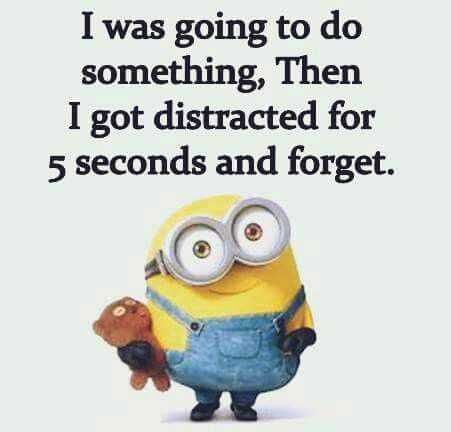 Minion 5 Seconds