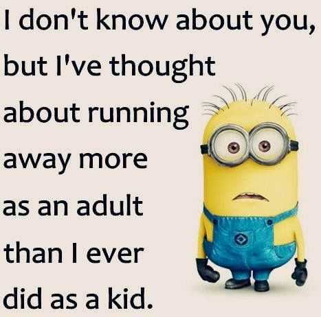 Minion Dont Know