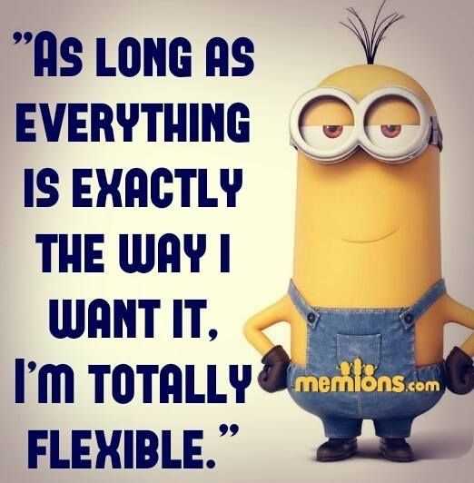 Minion Exacltly How I Want