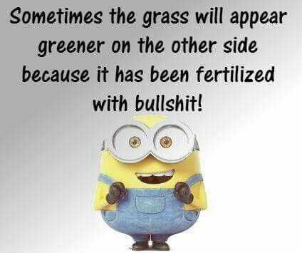 Minion Fertilized