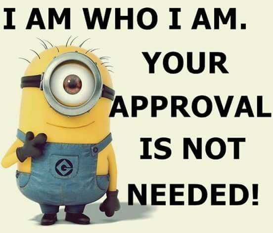 Minion Iam