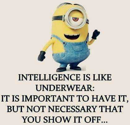 Minion Intelligence
