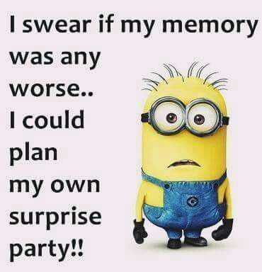 Minion Memory