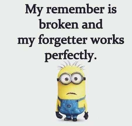 Minion My Remember
