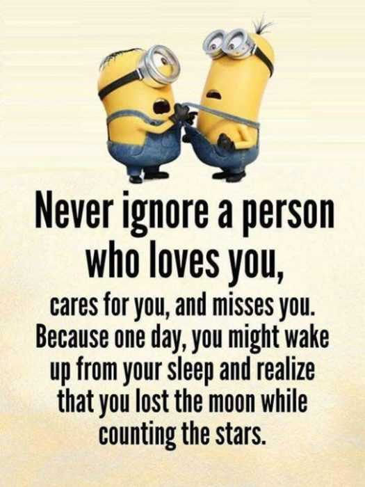 Minion Never Ignore